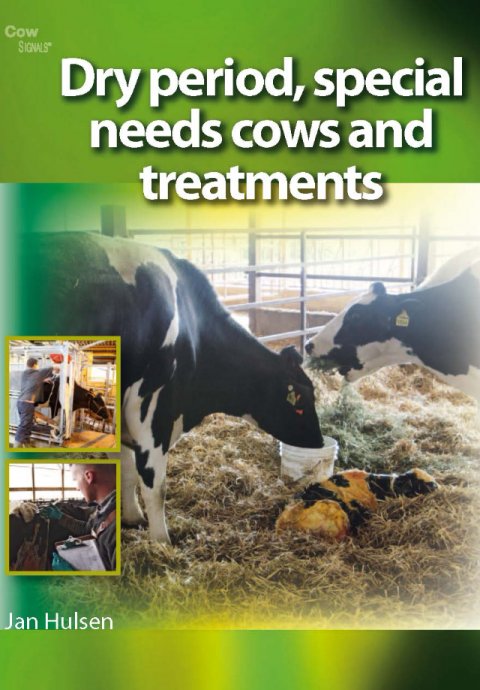 Dry Period, Special Needs Cows And Treatments