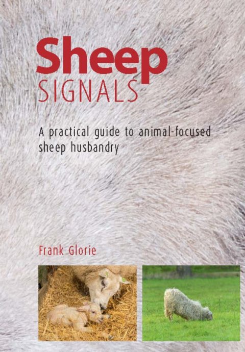 Sheep Signals