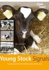 Young Stock Signals by Jan Huslen