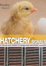 Hatchery Signals by Sander Lourens